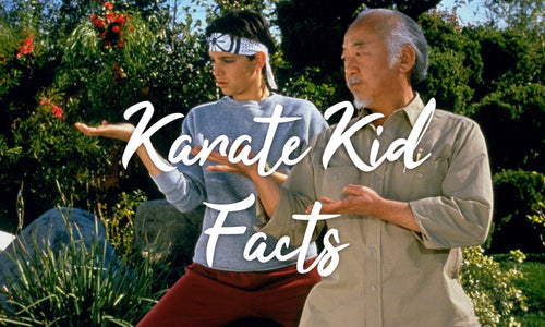 26 Facts about The Karate Kid That You Probably Don't Know