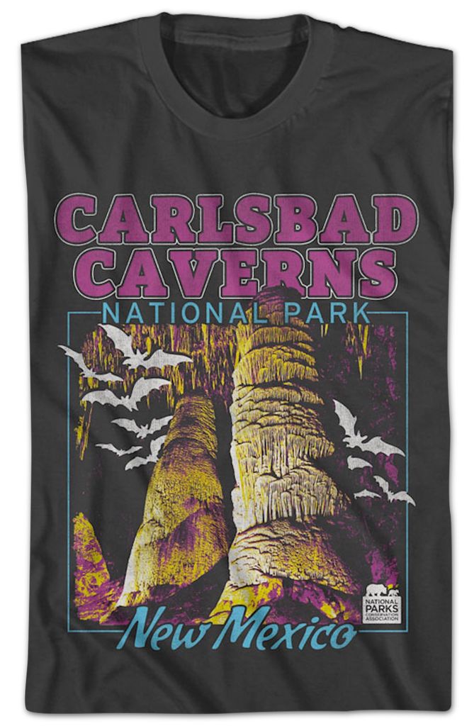 SLAUGHTER CANYON CAVE (Parc national de Carlsbad Caverns): Ce qu'il