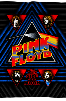 Dark Side of the Moon Pink Floyd Throw Pillow