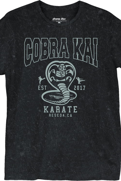 Est. 2017 Cobra Kai T-Shirtmain product image