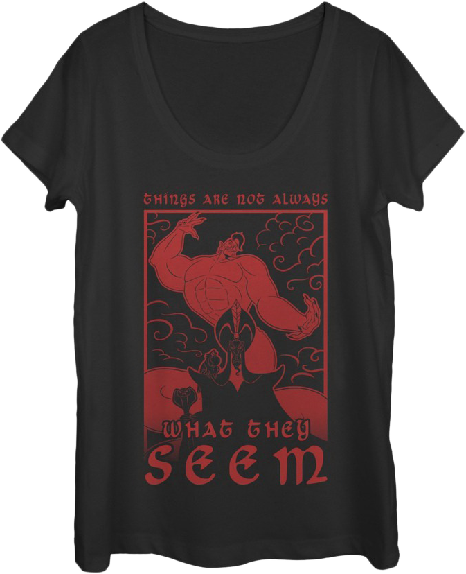 Ladies Things Are Not Always What They Seem Aladdin Scoopneck Shirt