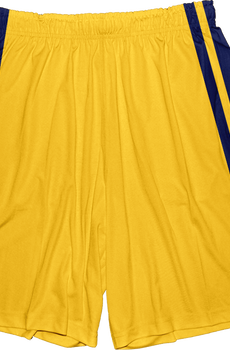 Scott Howard Teen Wolf Basketball Shorts