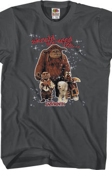Should You Need Us Labyrinth T-Shirt