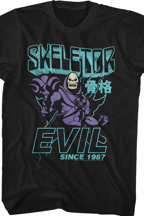 Skeletor Evil Since 1987 Masters of the Universe T-Shirtmain product image