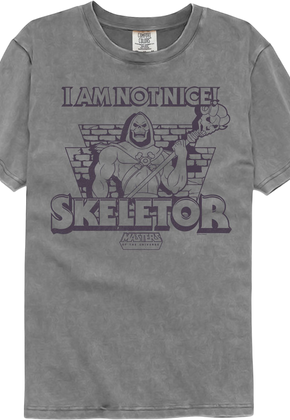 Skeletor Not Nice Masters of the Universe Comfort Colors Brand T-Shirt