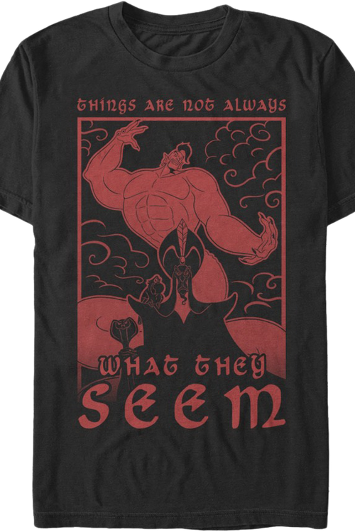 Things Are Not Always What They Seem Aladdin T-Shirtmain product image