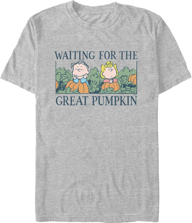 The great pumpkin hotsell is coming sweatshirt