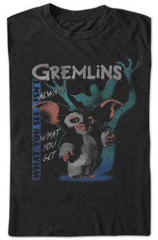 What You See Isn't Always What You Get Gremlins T-Shirt