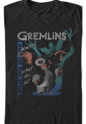 What You See Isn't Always What You Get Gremlins T-Shirt
