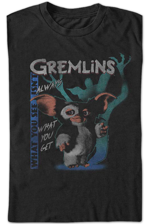 What You See Isn't Always What You Get Gremlins T-Shirtmain product image