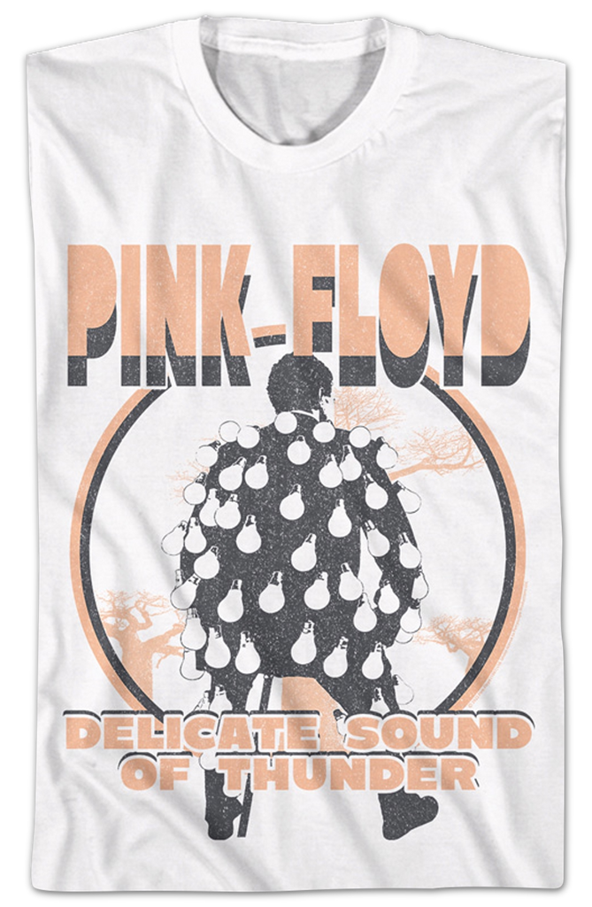 Pink floyd delicate sound 2024 of thunder t shirt