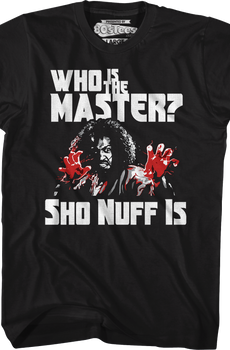 Who Is The Master The Last Dragon T-Shirt