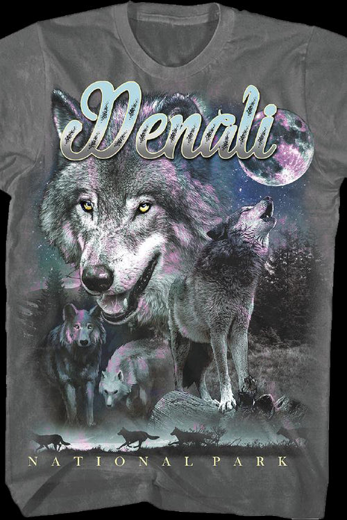Denali National Park Foundation T-Shirtmain product image