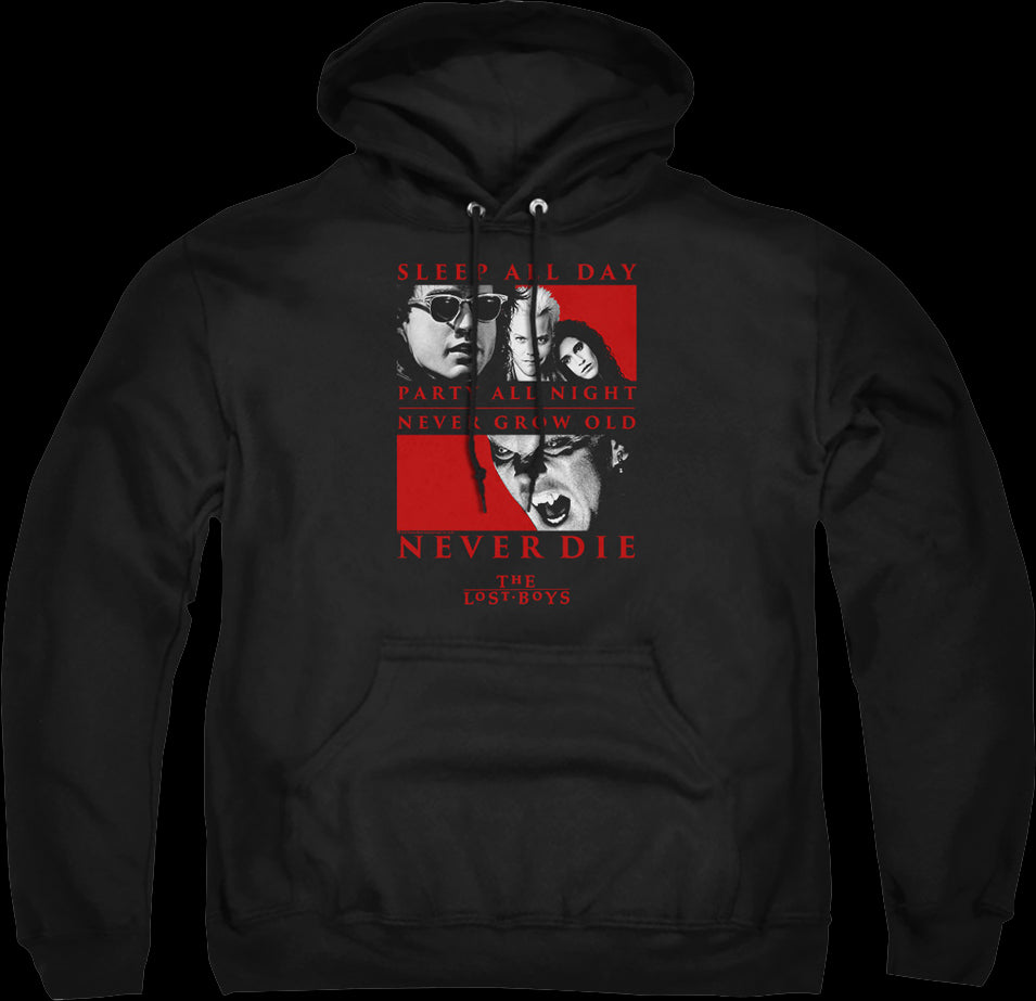 The lost hotsell boys hoodie