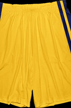 Scott Howard Teen Wolf Basketball Shorts