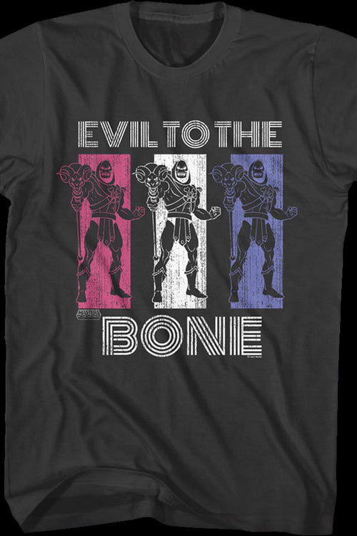 Skeletor Evil to the Bone Masters of the Universe T-Shirtmain product image