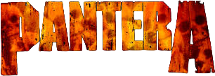 Pantera Shirts