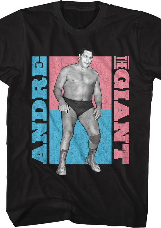 Color Blocks Andre The Giant T-Shirt - main product image