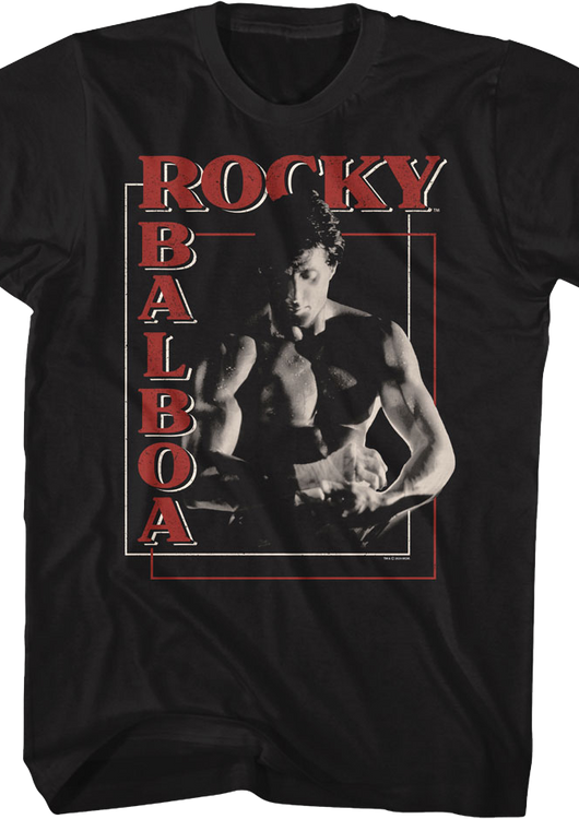 Boxer's Boxes Rocky T-Shirt - main product image