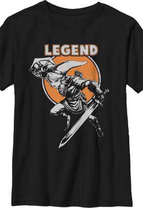 Boys Youth Link Hero Pose Legend of Zelda Shirt