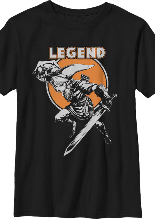 Boys Youth Link Hero Pose Legend of Zelda Shirt - main product image