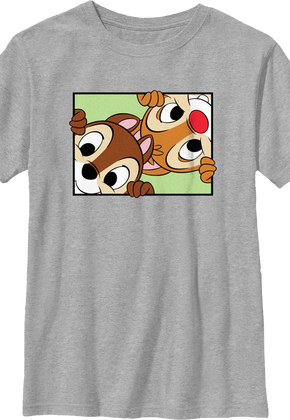Boys Youth Peek-a-Boo Chip 'n Dale Rescue Rangers Shirt