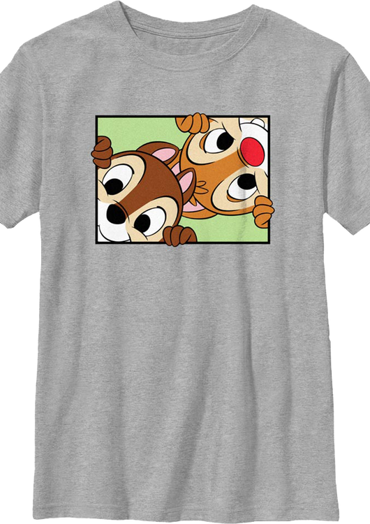 Boys Youth Peek-a-Boo Chip 'n Dale Rescue Rangers Shirt - main product image