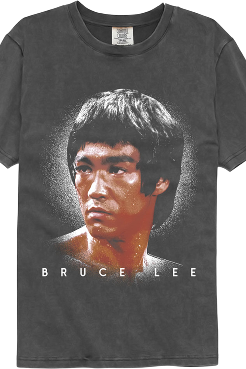 Bruce Lee Shadow Strike Comfort Colors Brand T-Shirtmain product image