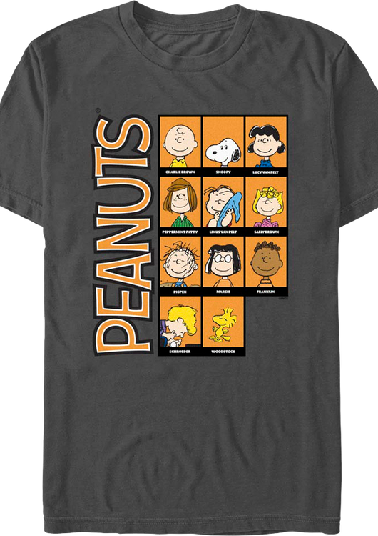 Classic Character Blocks Peanuts T-Shirt - main product image