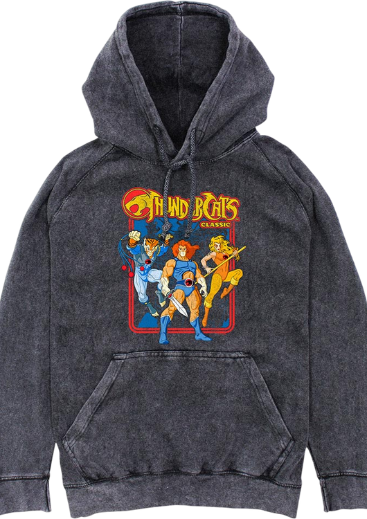 Classic Hero Poses ThunderCats Hoodie - main product image