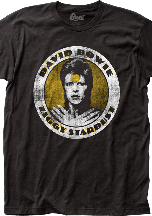 David Bowie Ziggy Stardust T-Shirt - main product image
