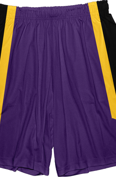 Decepticon Transformers Basketball Shorts