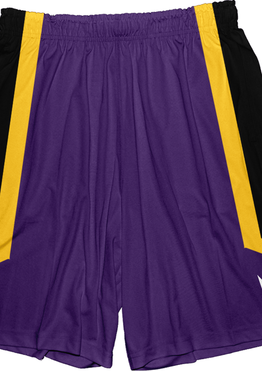 Decepticon Transformers Basketball Shorts - main product image