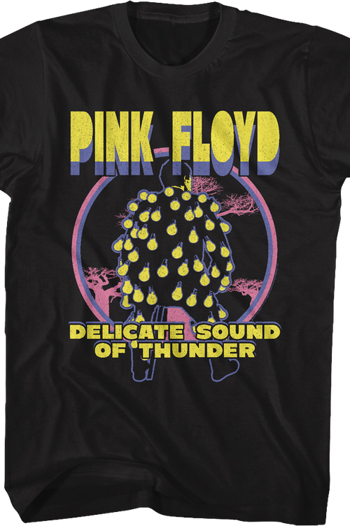 Delicate Sound Of Thunder Pink Floyd T-Shirt - main product image