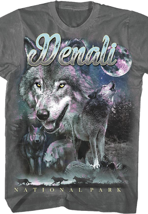Denali National Park Foundation T-Shirt
