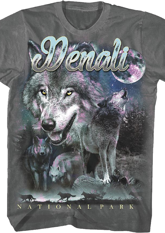 Denali National Park Foundation T-Shirt - main product image