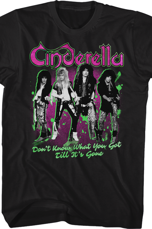 Don't Know What You Got Till It's Gone Cinderella T-Shirtmain product image