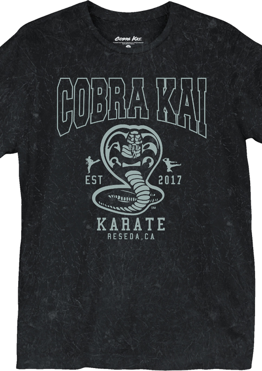 Est. 2017 Cobra Kai T-Shirt - main product image