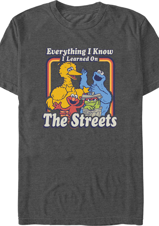 Everything I Know I Learned On The Streets Sesame Street T-Shirt - main product image