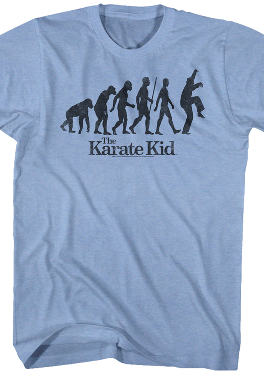 Evolution Crane Kick Karate Kid Shirt - main product image