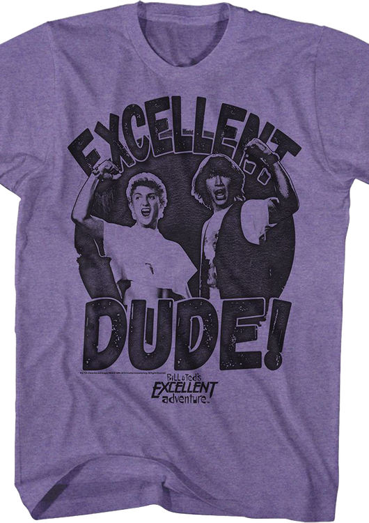Excellent Dude Bill & Ted's Excellent Adventure T-Shirt - main product image