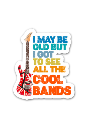I May Be Old But I Got To See All The Cool Bands 3