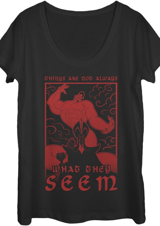 Ladies Things Are Not Always What They Seem Aladdin Scoopneck Shirt - main product image