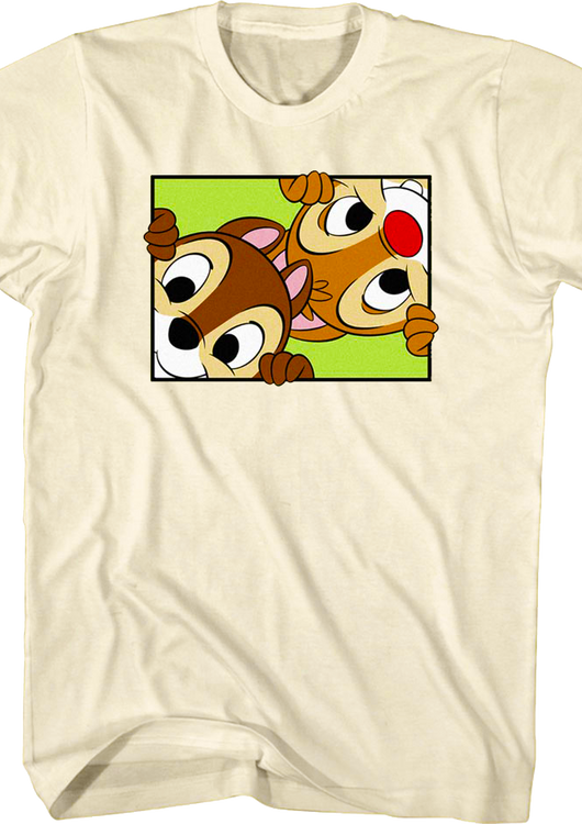 Peek-a-Boo Chip 'n Dale Rescue Rangers T-Shirt - main product image