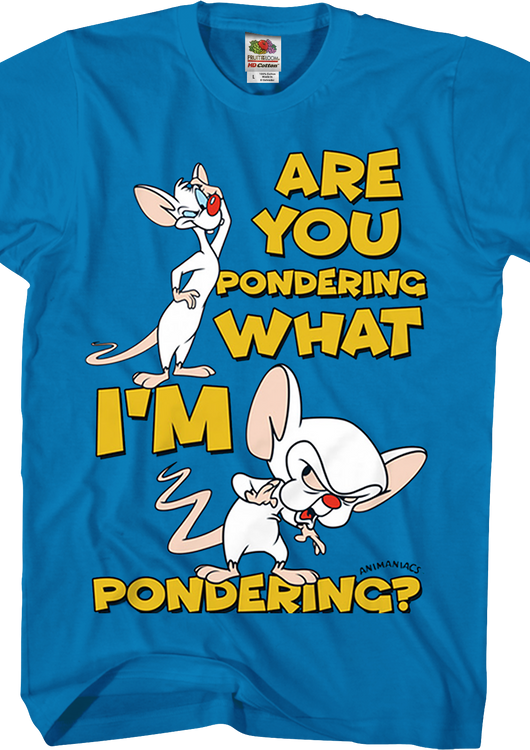 Pinky And The Brain Pondering Animaniacs T-Shirt - main product image