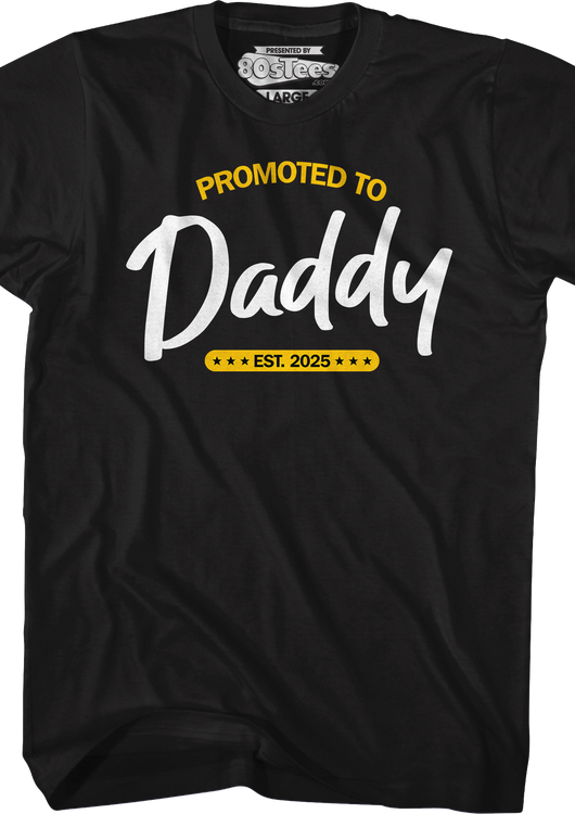 Promoted To Daddy Est. 2025 T-Shirt - main product image