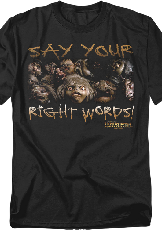Say Your Right Words Labyrinth Shirt - main product image