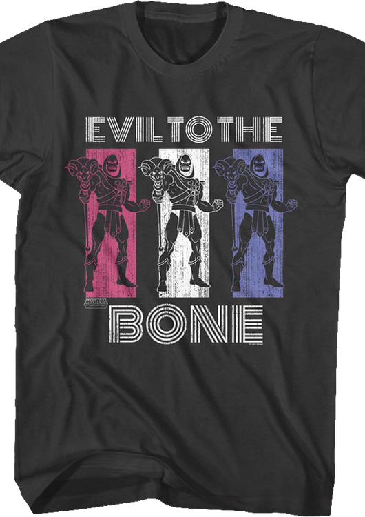 Skeletor Evil to the Bone Masters of the Universe T-Shirt - main product image