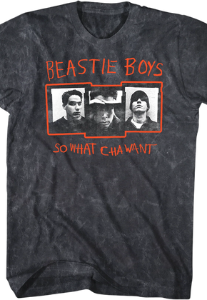 So What'cha Want Beastie Boys Mineral Wash T-Shirt