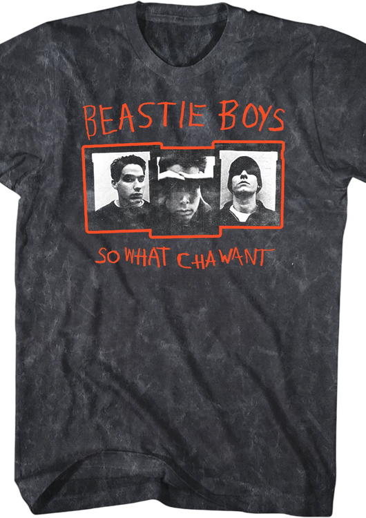 So What'cha Want Beastie Boys Mineral Wash T-Shirt - main product image